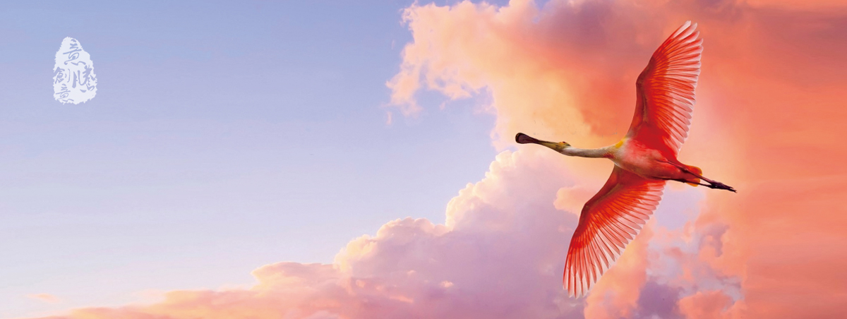 �P(gu��n)�����v�V��